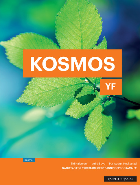 Kosmos YF naturfag vg1 (LK06, LK13)