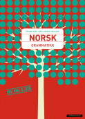 Norsk Grammatikk av Torunn Eide (Heftet)
