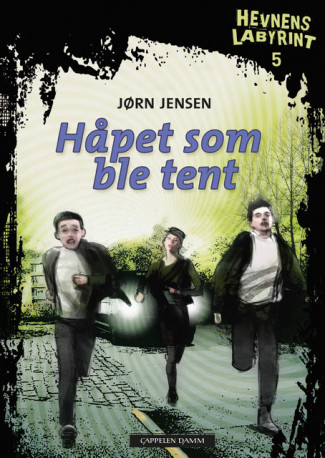 Hevnens labyrint 5 Håpet som ble tent av Jørn Jensen (Heftet)
