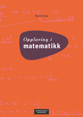 Opplæring i matematikk av Marit Holm (Heftet)