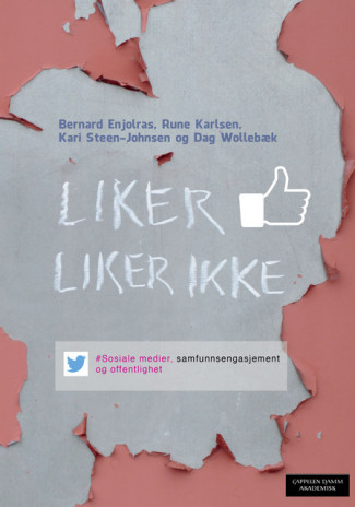 Liker - liker ikke av Bernard Enjolras, Rune Karlsen, Kari Steen-Johnsen og Dag Wollebæk (Heftet)