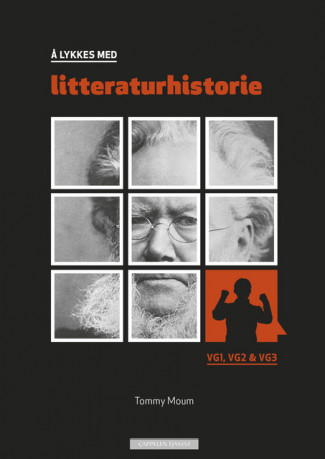 Å lykkes med litteraturhistorie (2014) (Heftet)