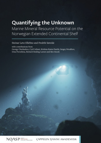 Quantifying the Unknown av Steinar Løve Ellefmo og Fredrik Søreide (Open Access)