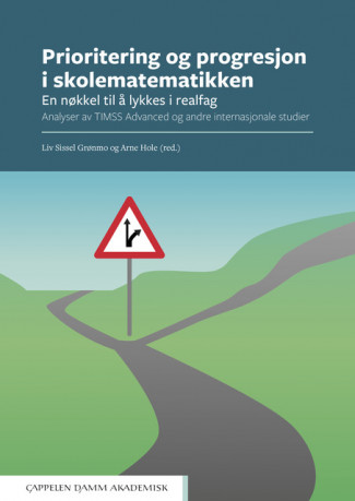 Prioritering og progresjon i skolematematikken av Liv Sissel Grønmo og Arne Hole (Heftet)