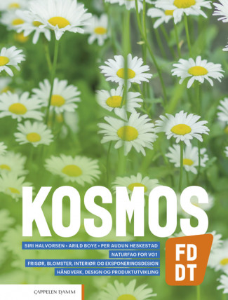 Kosmos FD, DT (2020) av Siri Halvorsen, Arild Boye og Per Audun Heskestad (Heftet)