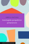 Sosiologiske perspektiver på barnevern av Amela Pacuka (Heftet)