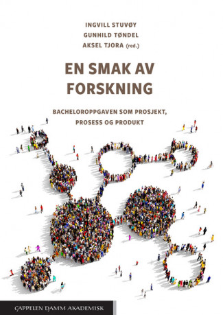 En smak av forskning av Ingvill Stuvøy, Gunhild Tøndel og Aksel Tjora (Heftet)