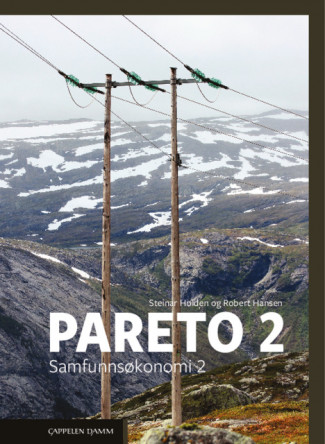 Pareto 2 (LK20) av Steinar Holden og Robert Hansen (Heftet)