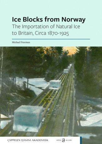 Ice Blocks from Norway av Michael Freeman (Open Access)