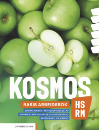 Kosmos HS, RM Basis Arbeidsbok (LK20)