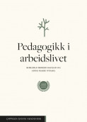 Pedagogikk i arbeidslivet av Borghild Brekke Hauglid og Adina Marie Nydahl (Heftet)