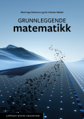 Grunnleggende matematikk av Bård-Inge Pettersen og Per Kristian Rekdal (Ebok)