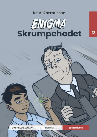 Leseunivers 13: Enigma - Skrumpehodet av Kit A. Rasmussen (Innbundet)