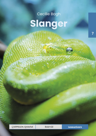 Leseunivers 7: Slanger av Cecilie Bogh (Innbundet)