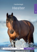 Leseunivers 11: Hester av Cecilie Bogh (Innbundet) Leseunivers 11: Hester av Cecilie Bogh (Innbundet)