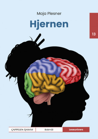 Leseunivers 13: Hjernen av Maja Plesner (Innbundet)