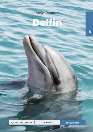 Leseunivers 8: Delfin av Maja Plesner (Innbundet)