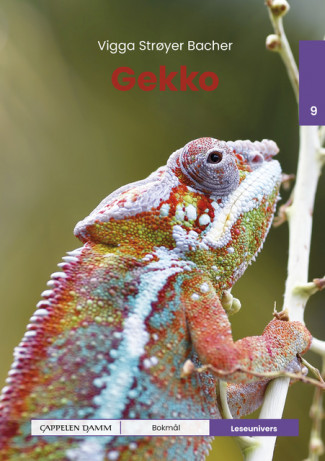 Leseunivers 9: Gekko av Vigga Strøyer Bacher (Innbundet)