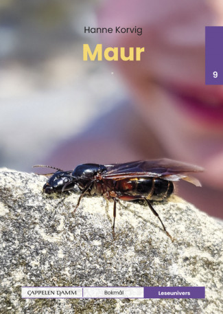Leseunivers 9: Maur av Hanne Korvig (Innbundet)