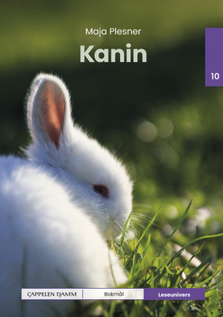 Leseunivers 10: Kanin av Maja Plesner (Innbundet)