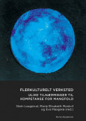 Flerkulturelt verksted av Stein Laugerud, Eva Maagerø og Maria Elisabeth Moskvil (Heftet)